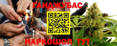 дмт Камышлов