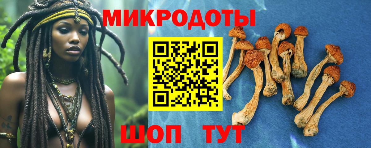 Галлюциногенные грибы прущие грибы  Вход с VPN  Людиново 